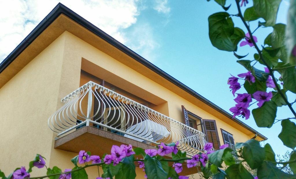 Nela Apartament *